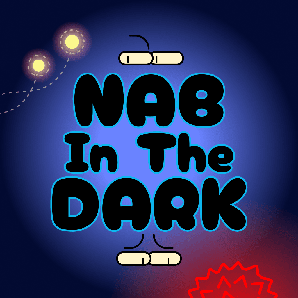 Nab In The Dark box cover